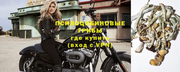 дмт Белокуриха