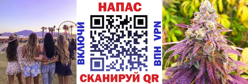 где можно купить   Дигора  маркетплейс как зайти  Марихуана ГИДРОПОН 